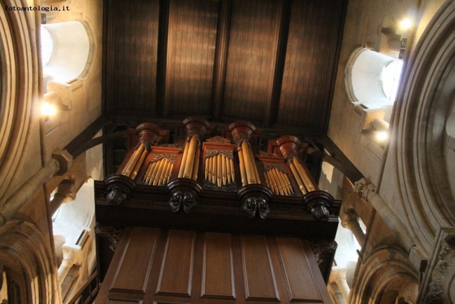 Organo ottocentesco ,universit Christ Church, Oxford