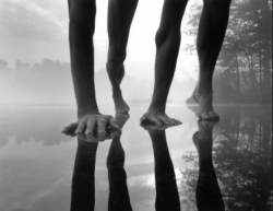 Body Lands Body Lands
