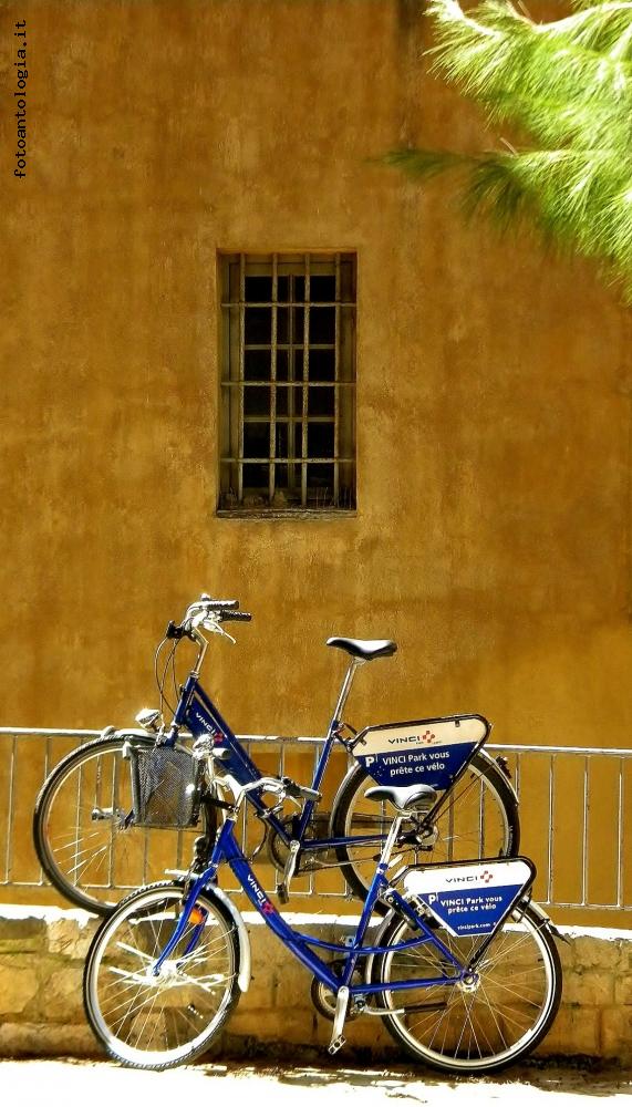Biciclette blu
