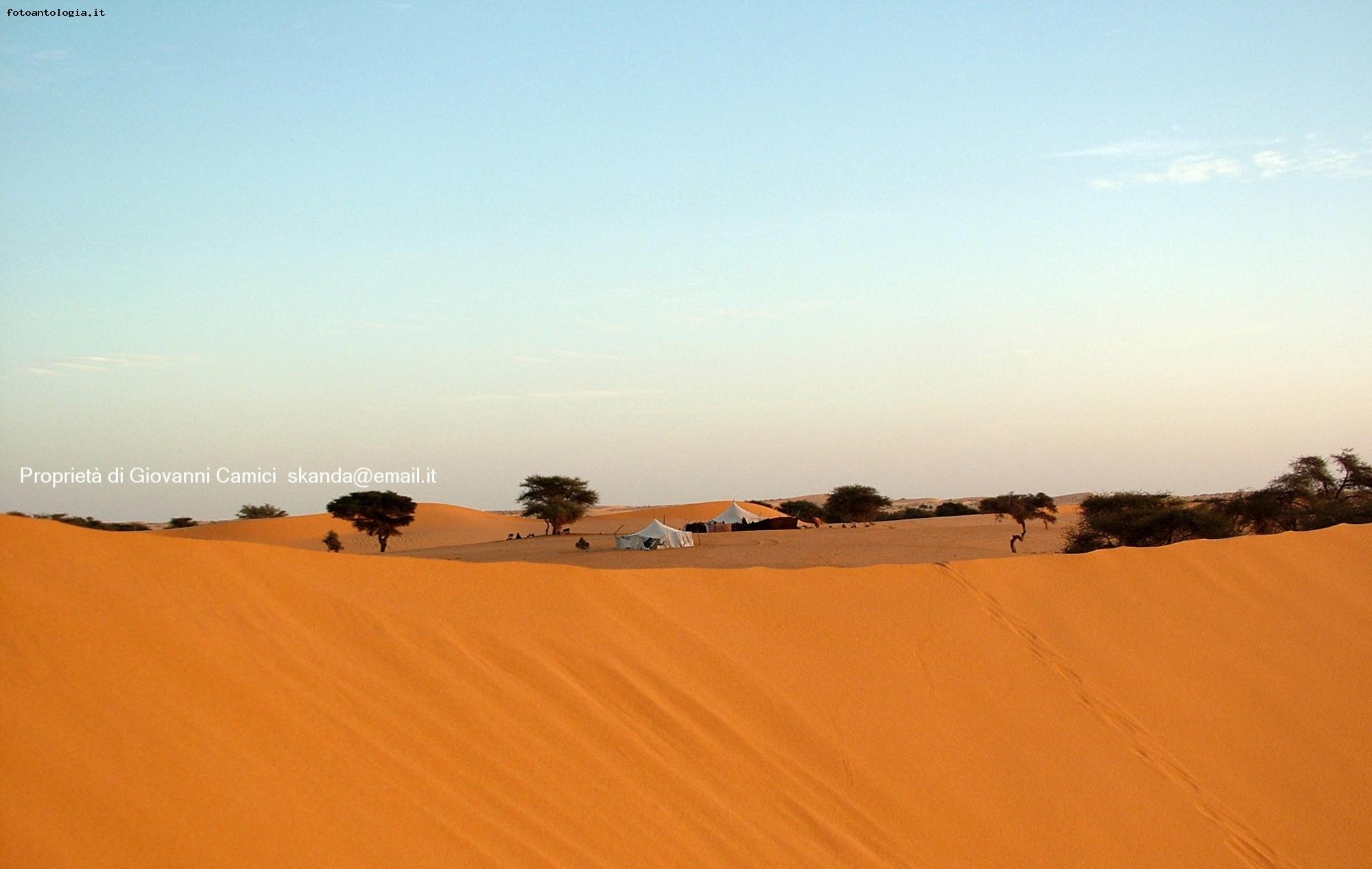 deserto dell'adrar, villaggio di pastori nomadi