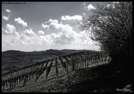 colline bianco e nero