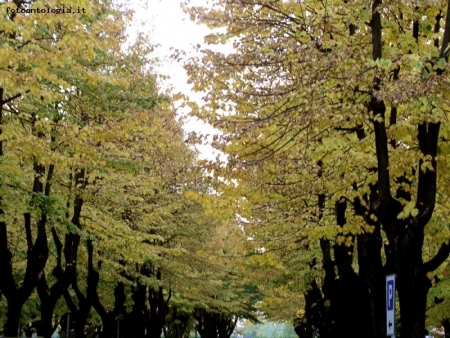 P di parcheggio