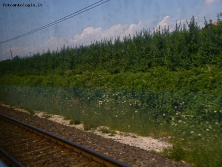 in treno verso casa