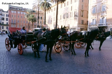 Roma - Carrozzelle a Piazza di Spagna