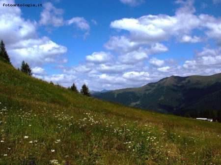 prateria in Alto Adige