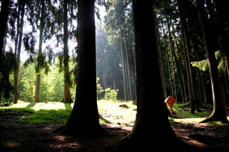 natura....