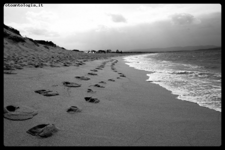 impronte sulla spiaggia!!