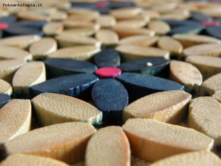 fiori di legno