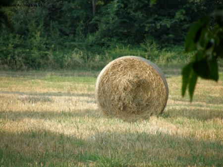 ballone di fieno