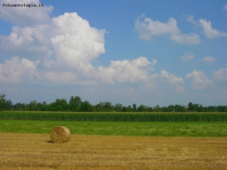 campagna