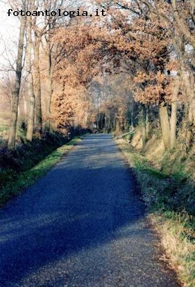 passeggiate in autunno...