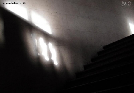 Linee d'ombra