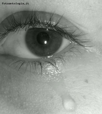 lacrima...