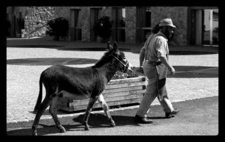 una passeggiata insolita...