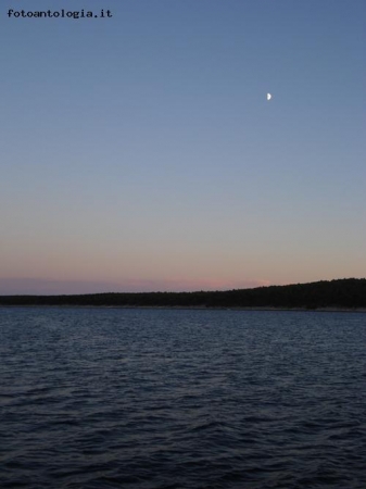 The moon