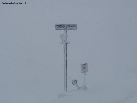 ricoperti dalla neve