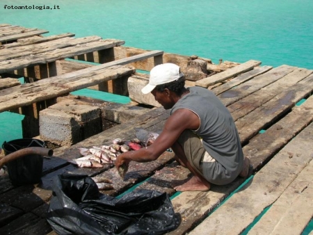 Pescatore al lavoro