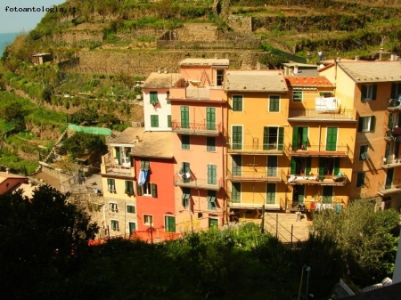 Cinqueterre -Manarola