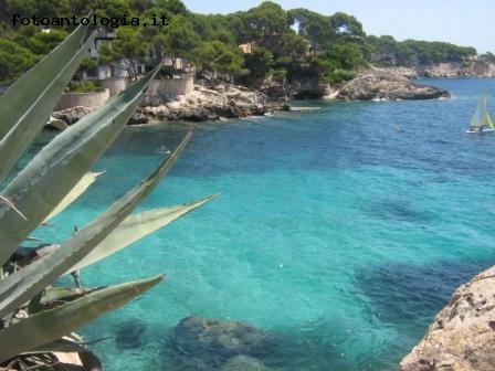 Cala Gat - Mallorca