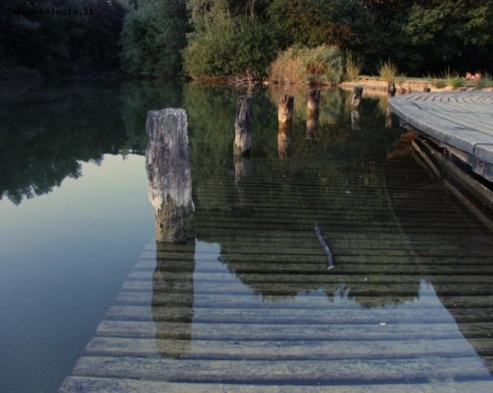 Laghetto delle testuggini.