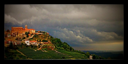 bella collina, piena di vita