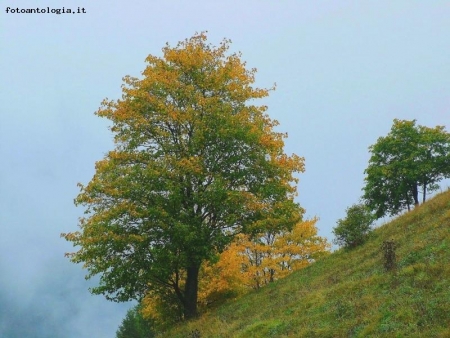 impressioni di settembre