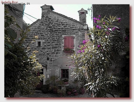 Quel non so che di rosa
