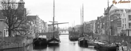 Rotterdam Boats