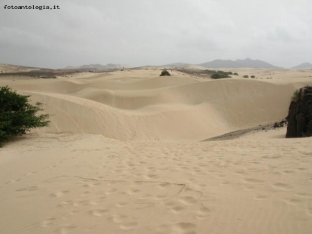 Deserto di Boavista