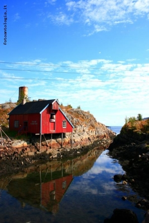 isole lofoten