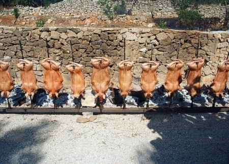 porcetti