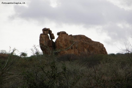 CURIOSA COLLINA A FORMA DI ELEFANTE