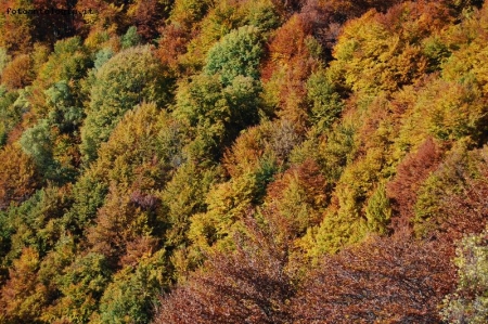 colori d'autunno