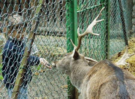 Il dono.