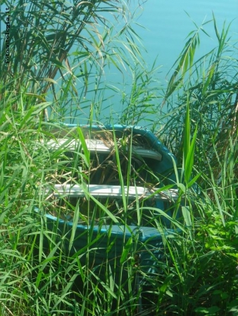 barchetta