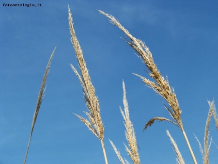 Verso il cielo