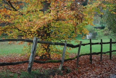 a passeggio la domenica