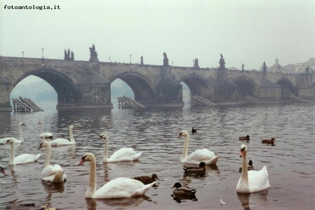 Praga, ponte Carlo