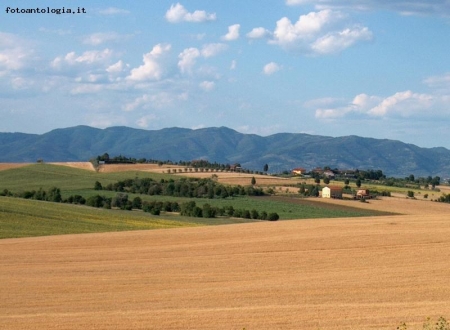 Caldo pomeriggio di Luglio