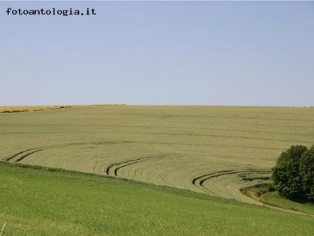 paesaggio rurale