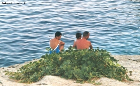 serenit�