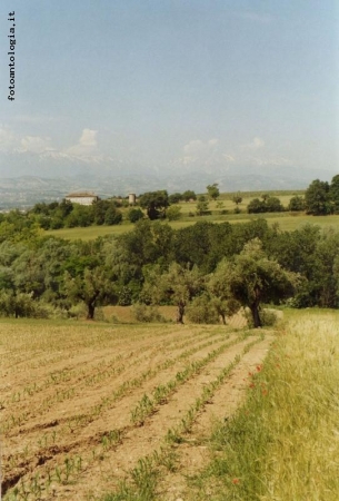 terra d'Abruzzo