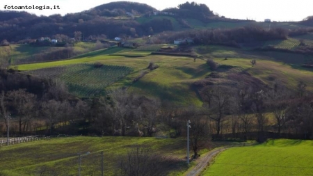 colli piacentini