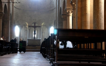 il guardiano della chiesa!!