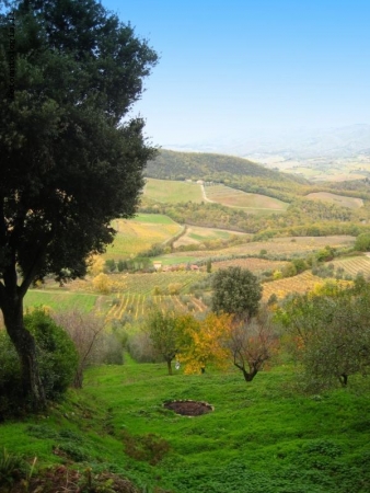 Colline toscane...