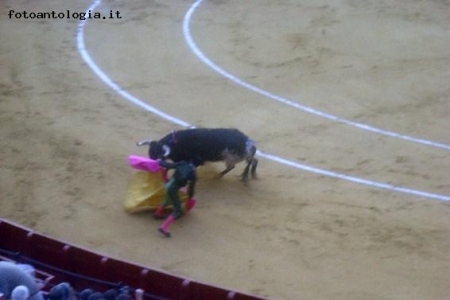 la corrida