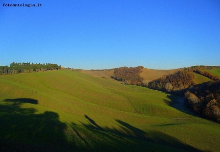 La proiezione delle ombre