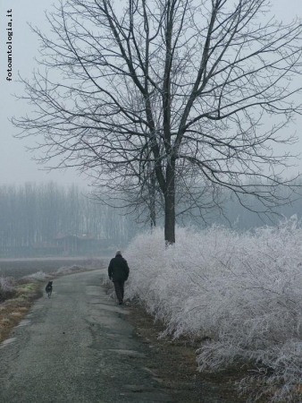 mattino d'inverno