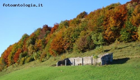 cosa non da' l'autunno...