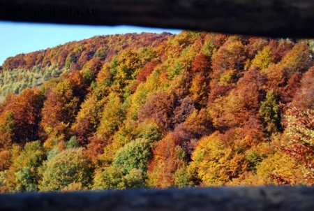 i colori d'autunno